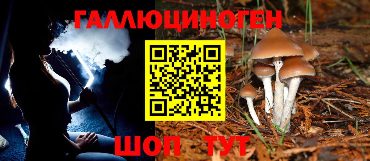 Северск  Псилоцибиновые грибы мухоморы  Вход с VPN 
