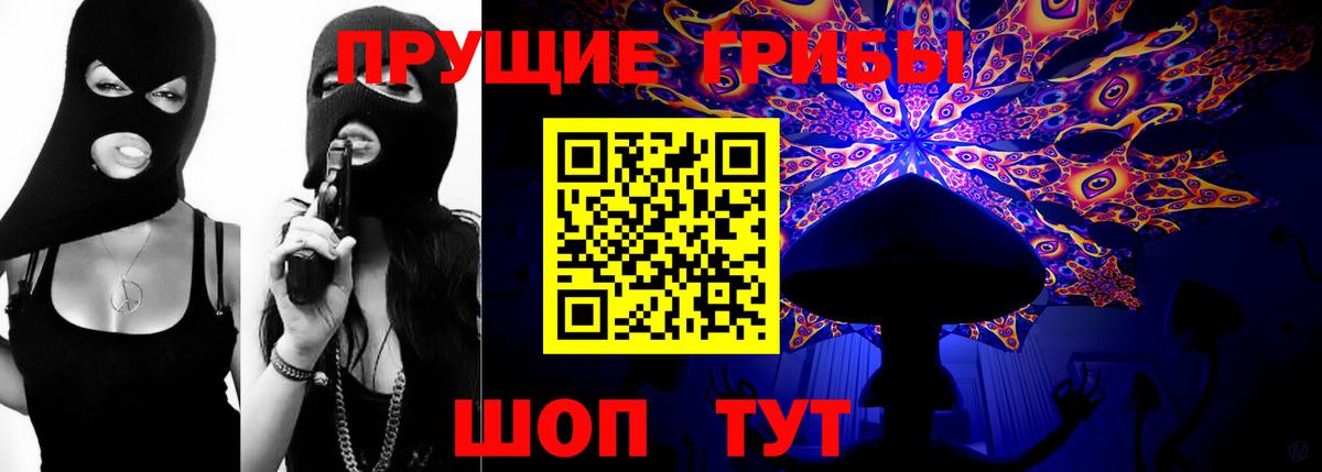 Псилоцибиновые грибы Psilocybe Северск